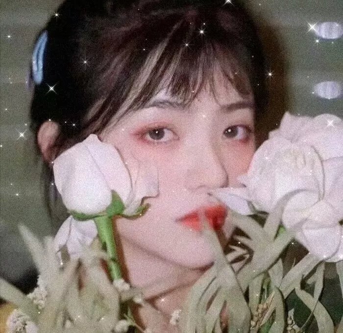 剧集热播